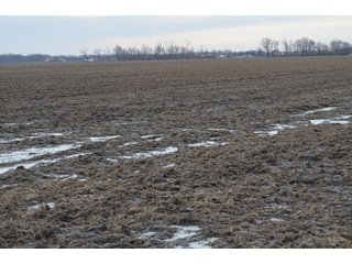 Property photo 33 - 173 +/- Acres Offered in 3 Tracts - Ohio Farmland